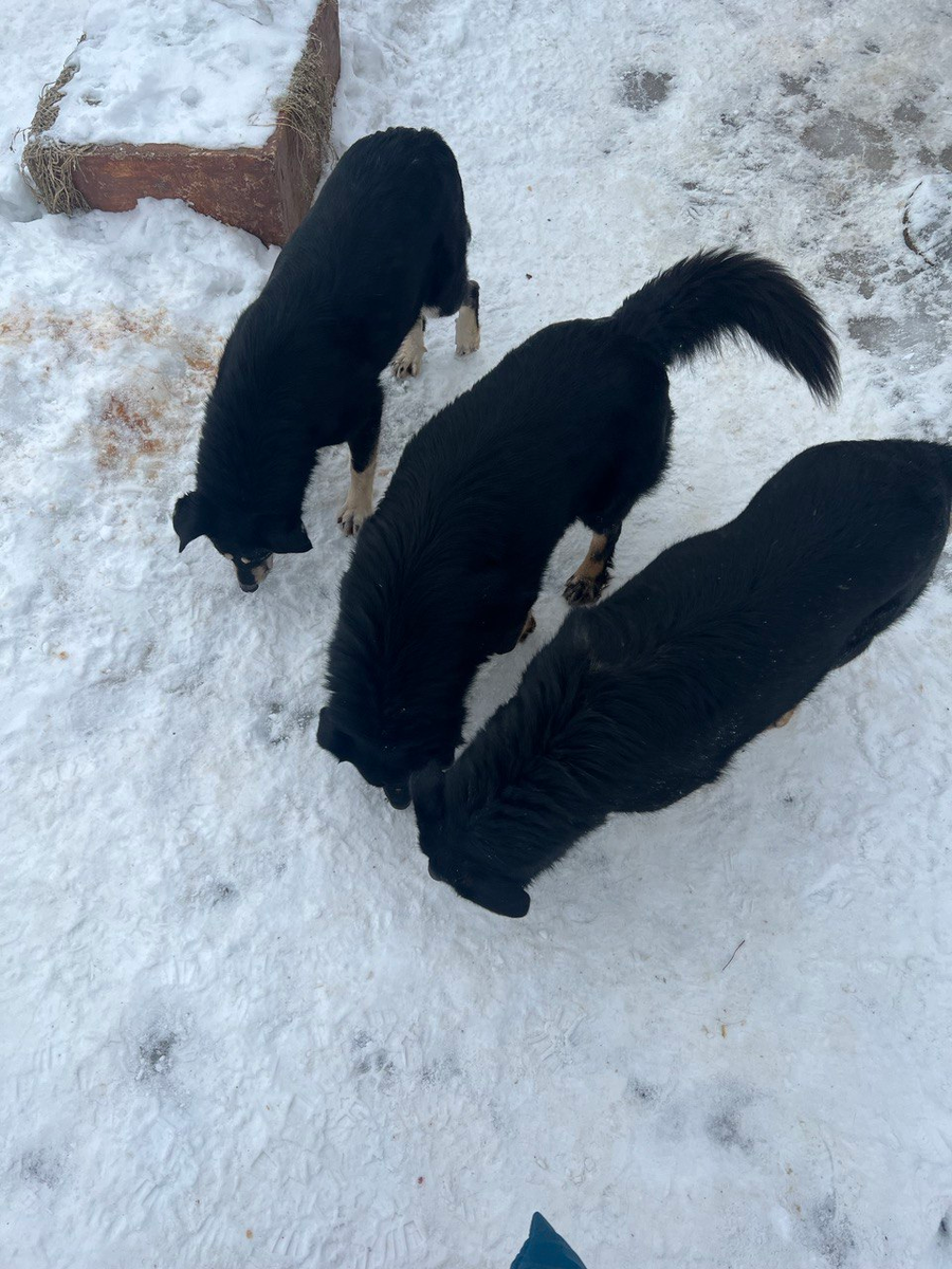 Это что там такое??? Интересненько!