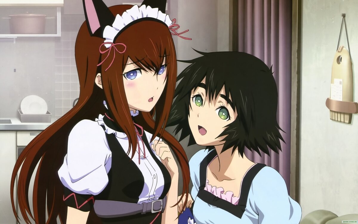 ВРАТА ШТЕЙНА / STEINS;GATE