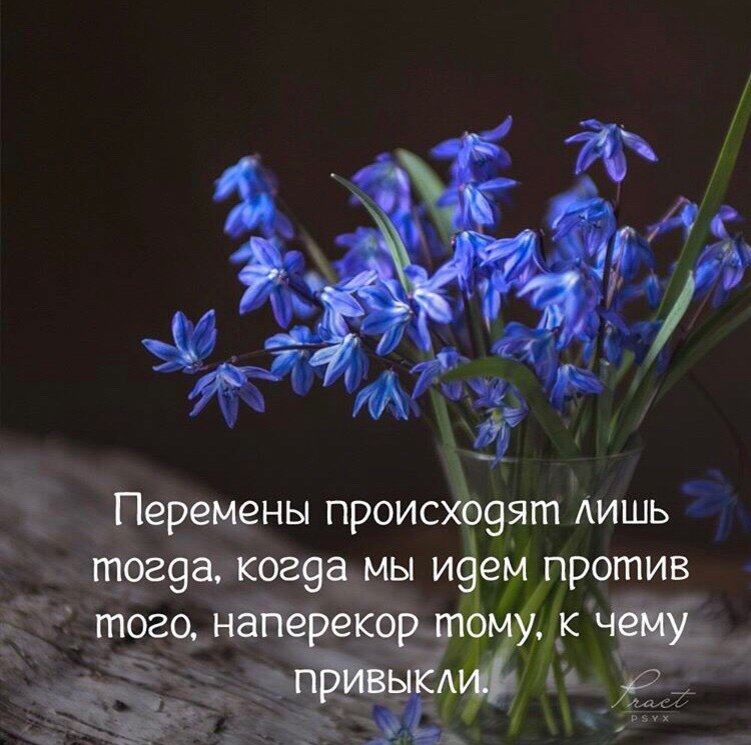 Михаил Левин: "Со злом не нужно бороться".