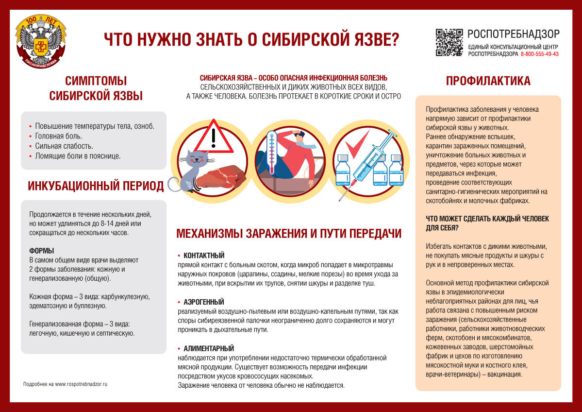 ФОТО: medicin.cap.ru