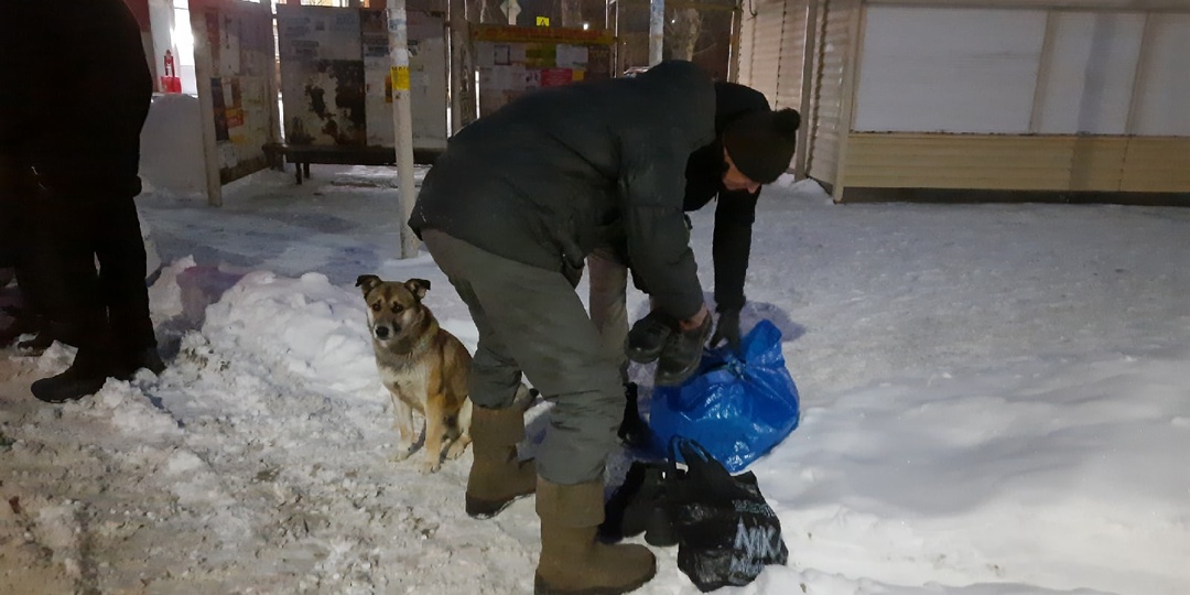 "И уже не чувствуешь себя пропащим человеком..." В Каменске-Уральском кормят бездомных