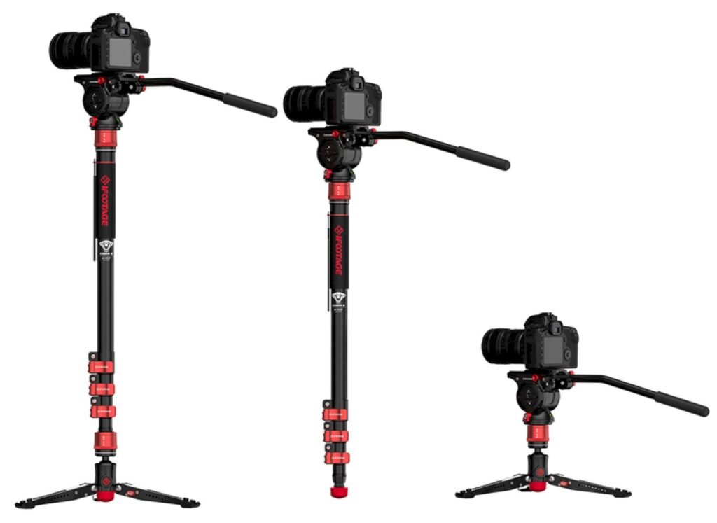     Фото: iFootage