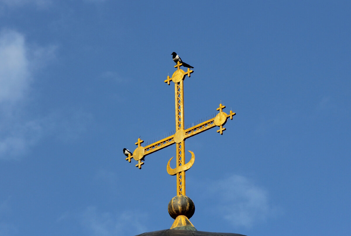 Фото Сергея Михеева