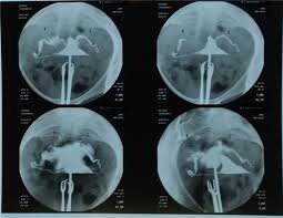 Фото из источников интернета.