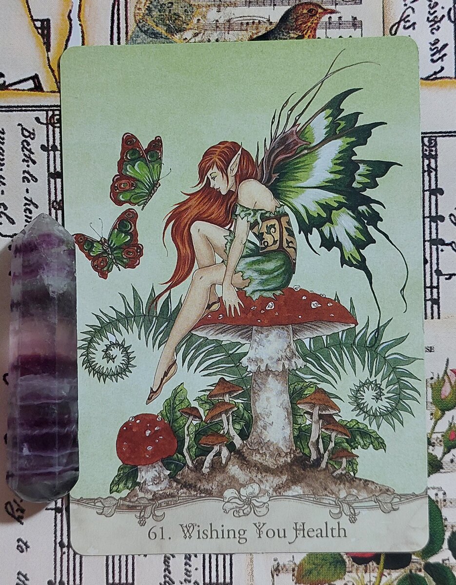 Колода: "Fairy Wisdom Oracle" by Nancy & Amy Brown