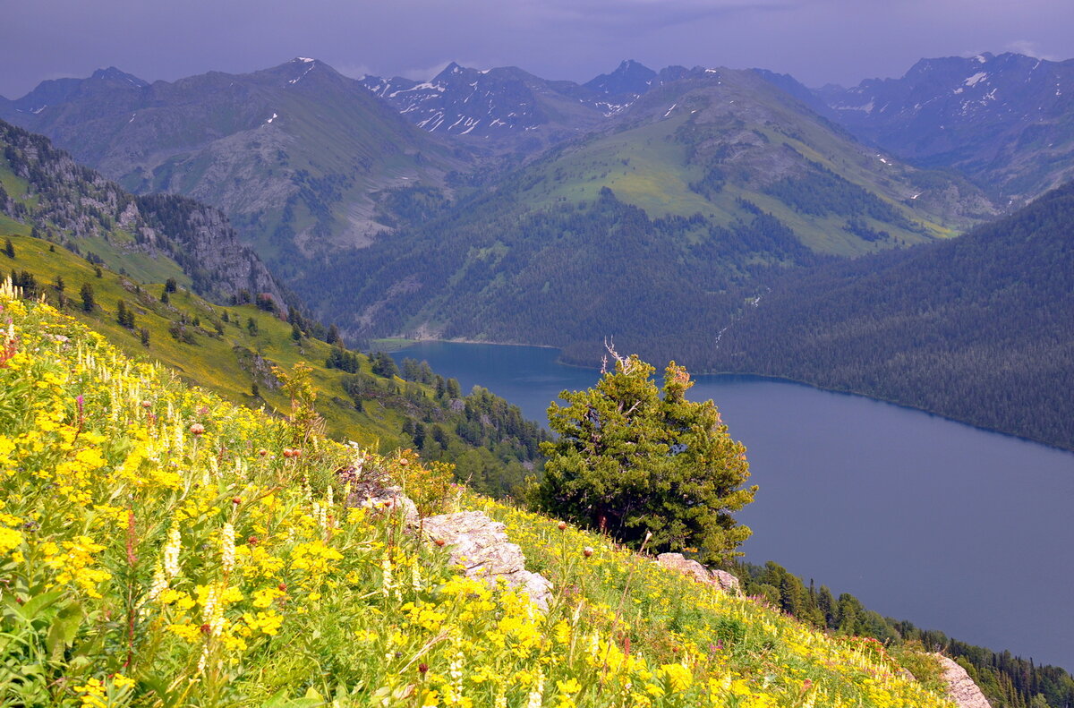 Тальмень - одно из самых живописных озер Горного Алтая.