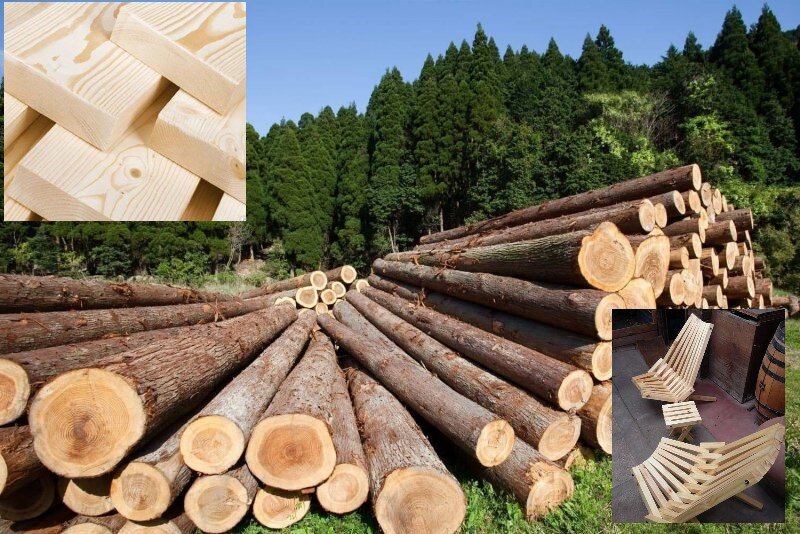 Дерево прекрасно в любом виде.