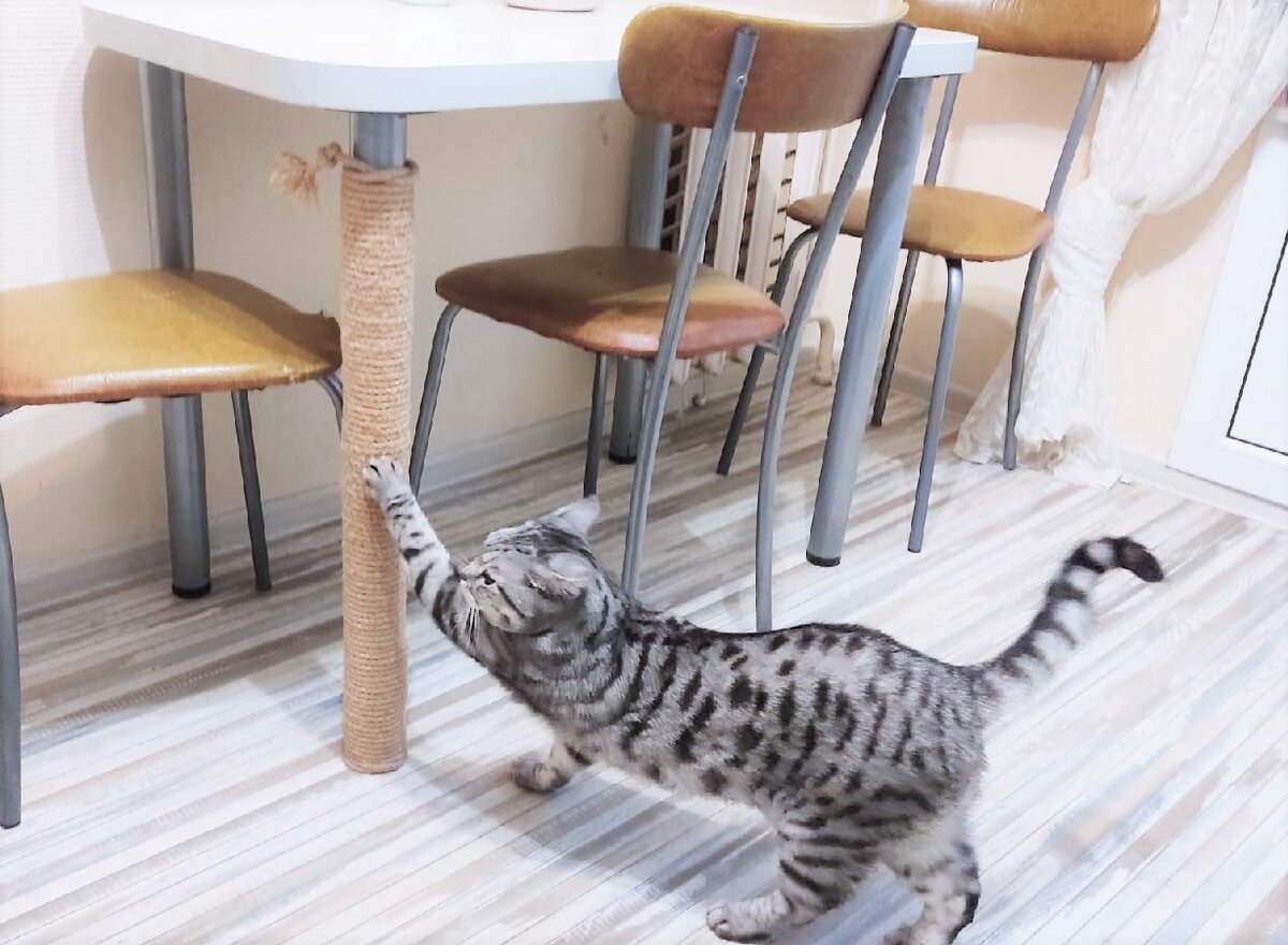 Вот так я умею!