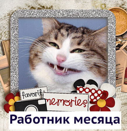 Подборка смешных мемов с котиками для понятия настроения 