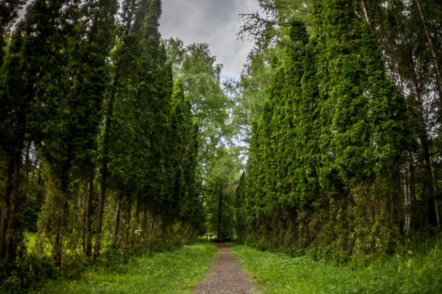 Источник фотографии: https://kitubijca.livejournal.com/69760.html
