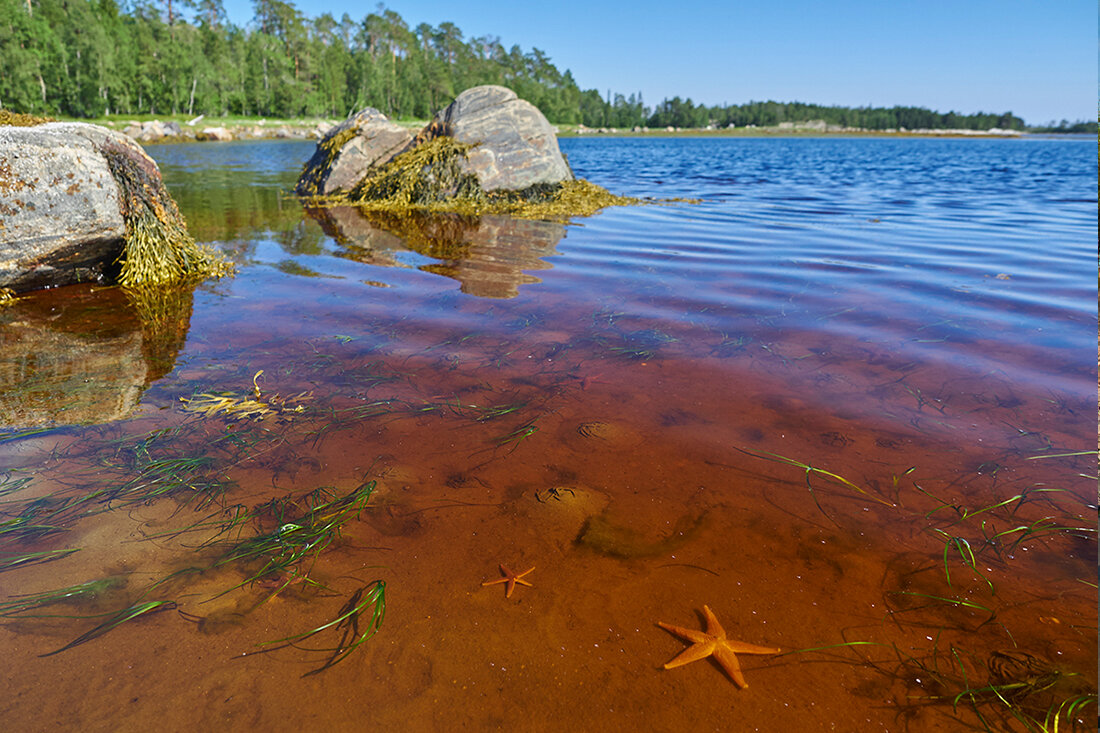 белое море карелия