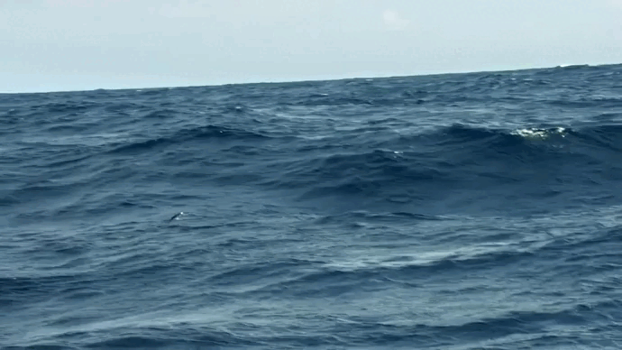 — Спасибо, братан! 
— И тебе! 