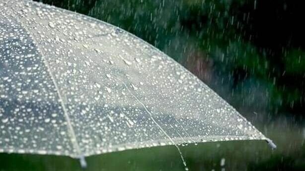     В областной столице ожидается резкое потепление. По данным Гисметео, на этой неделе воздух может прогреться до + 10 градусов. В четверг и воскресенье пройдут дожди, ожидается до 1 мм осадков.