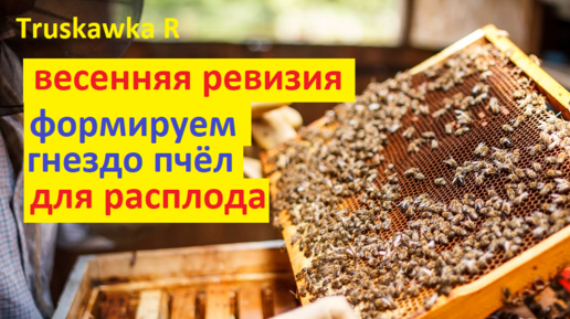 Как сделать улей своими руками для содержания пчёл на воле. Улей под рамку дадан