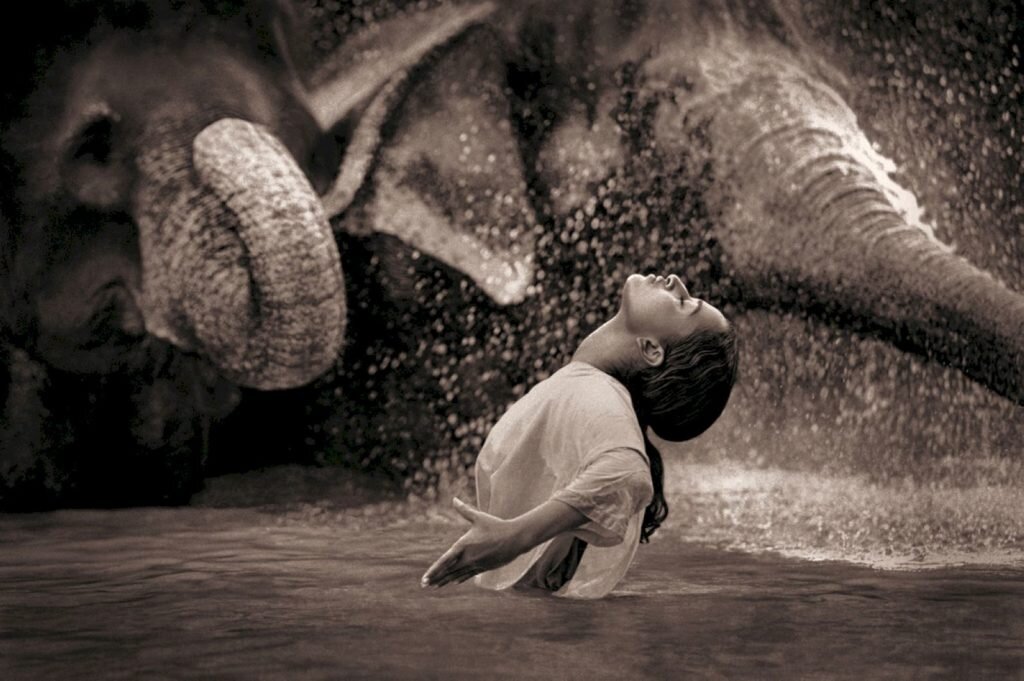     Фото: Gregory Colbert
