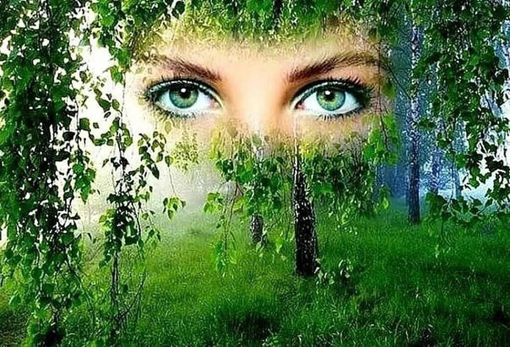 Взято из свободного доступа.