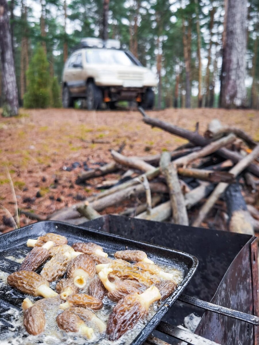 Готовим сморчки | Грибы 4х4 (Offroad Mushrooms) | Дзен