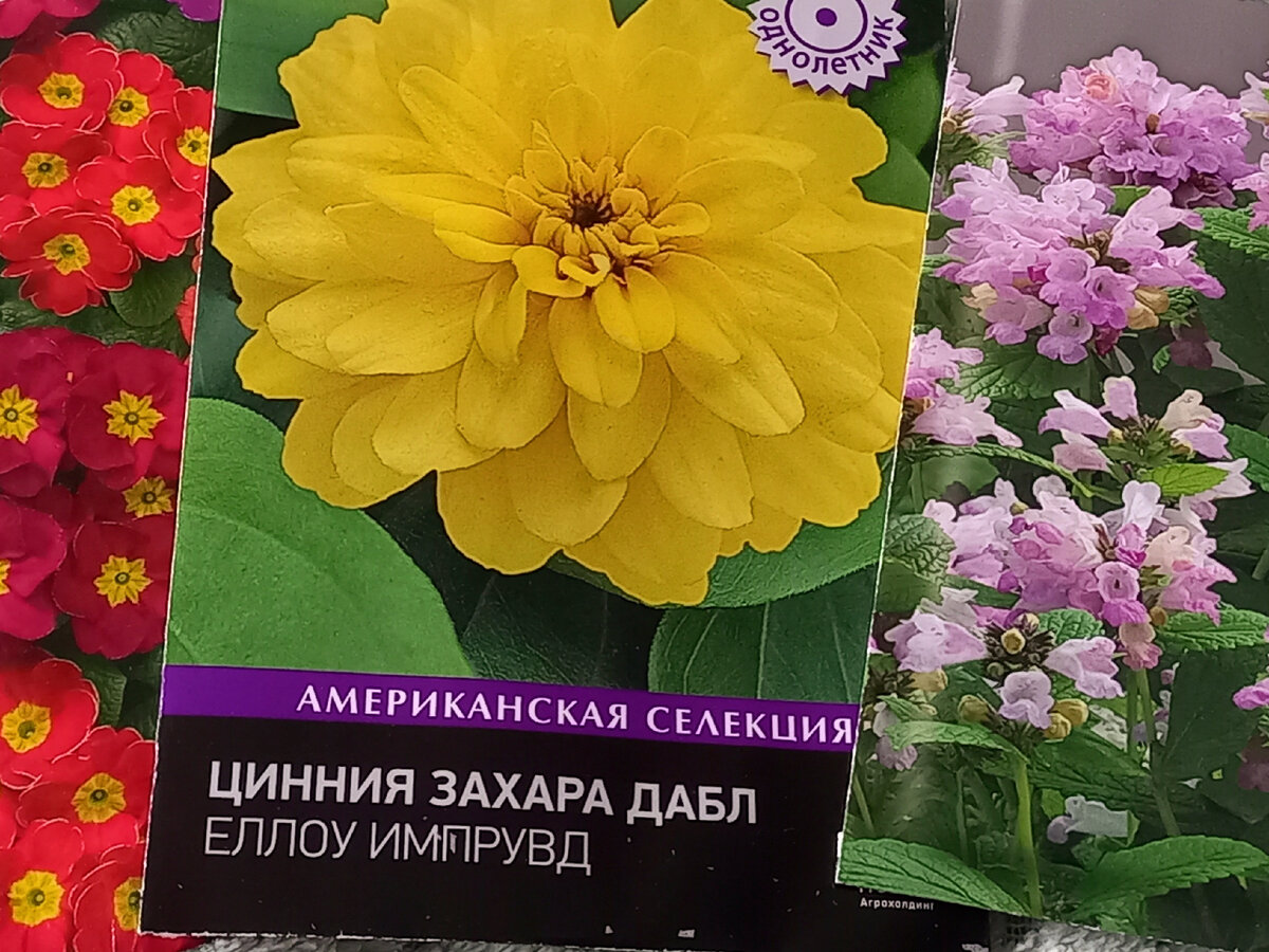 Эти уже посажены.