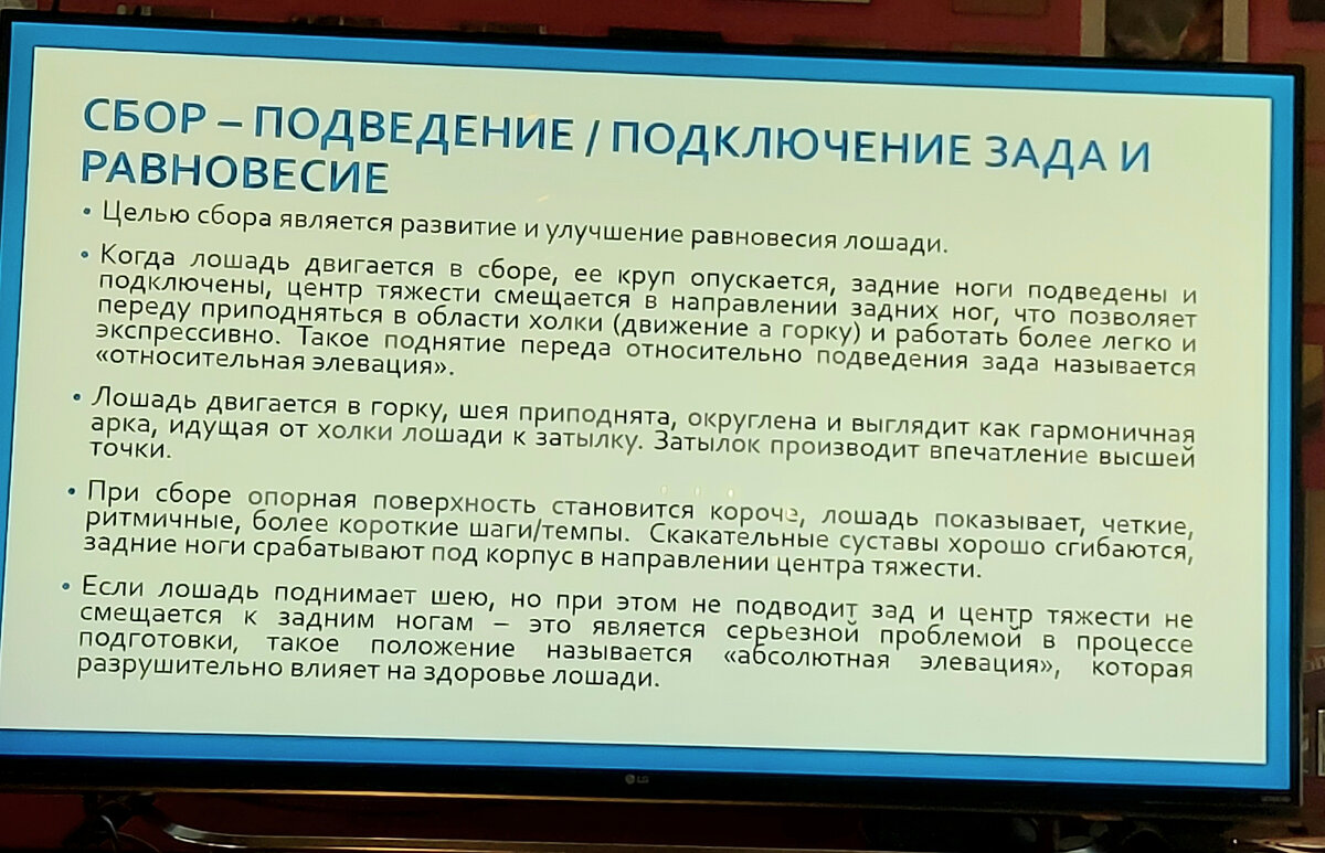 Семинар Ирины Макнами, часть 2 | Особенные лошади Владиславы Ахметшиной |  Дзен