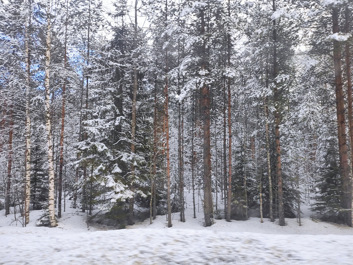 Дорога на Сортавалу. Здесь еще настоящая зима.