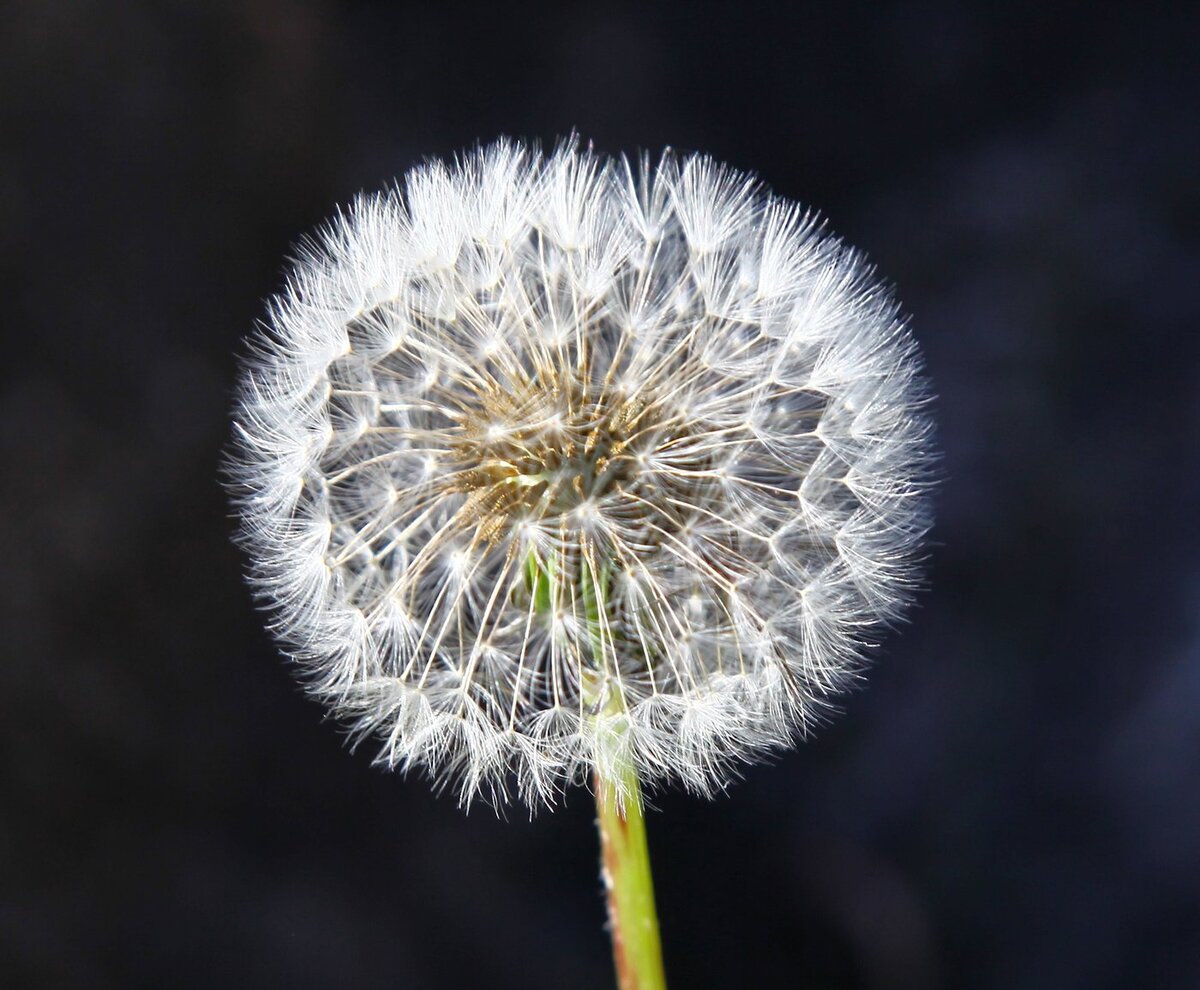 Вот что, первое пришло мне в голову,  при виде её волос. Как говорится и смех, и грех.