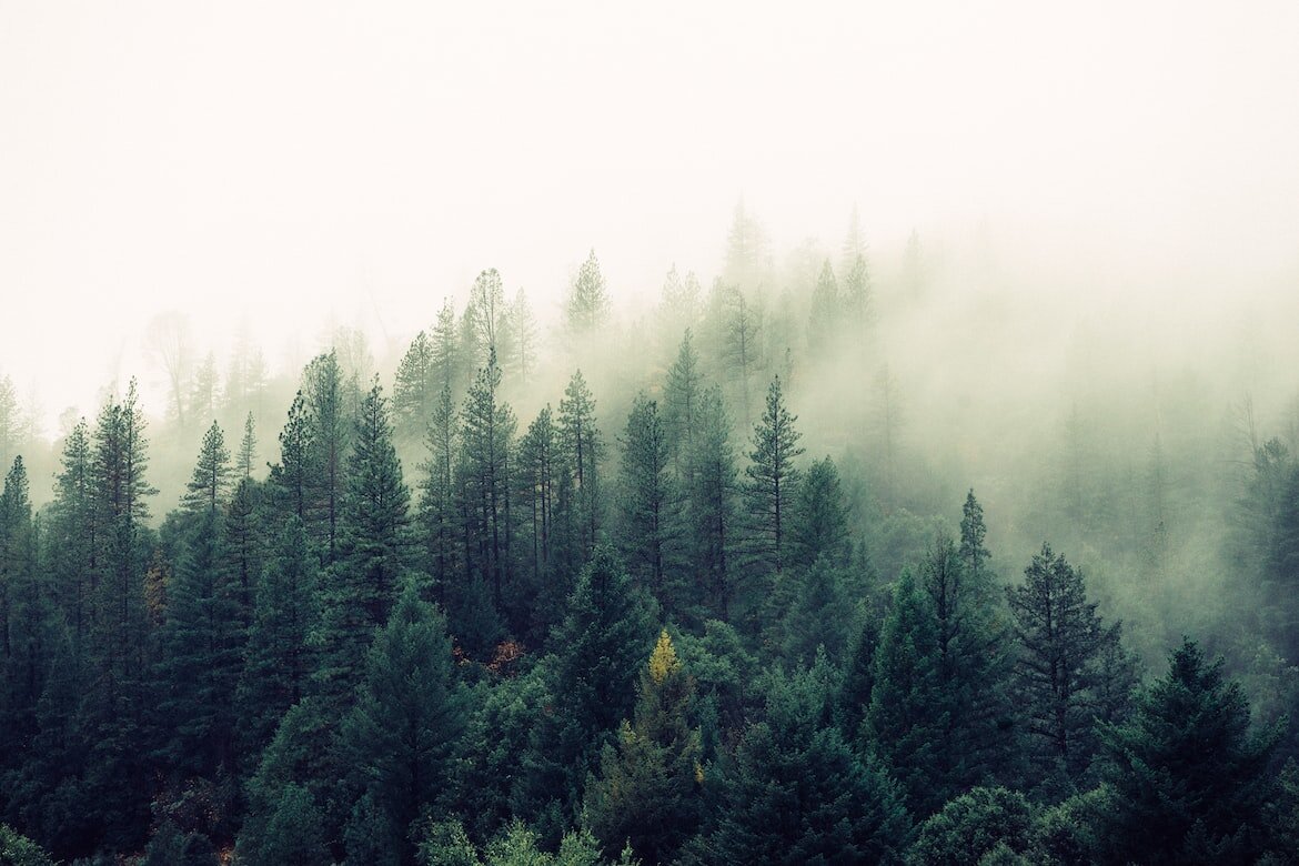 Источник: unsplash.com