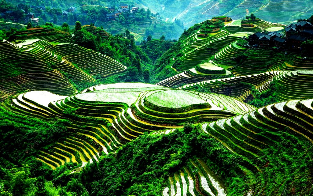 Рисовые террасы в Филиппинских Кордильерах