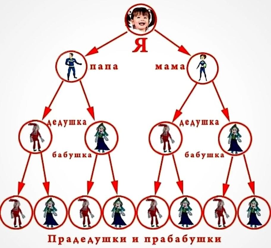 Распределите пары фотографий животных по принципу родственники или не родственники