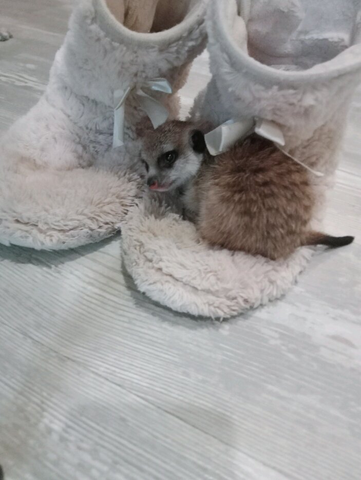 Маленький Сева лежит на тапке