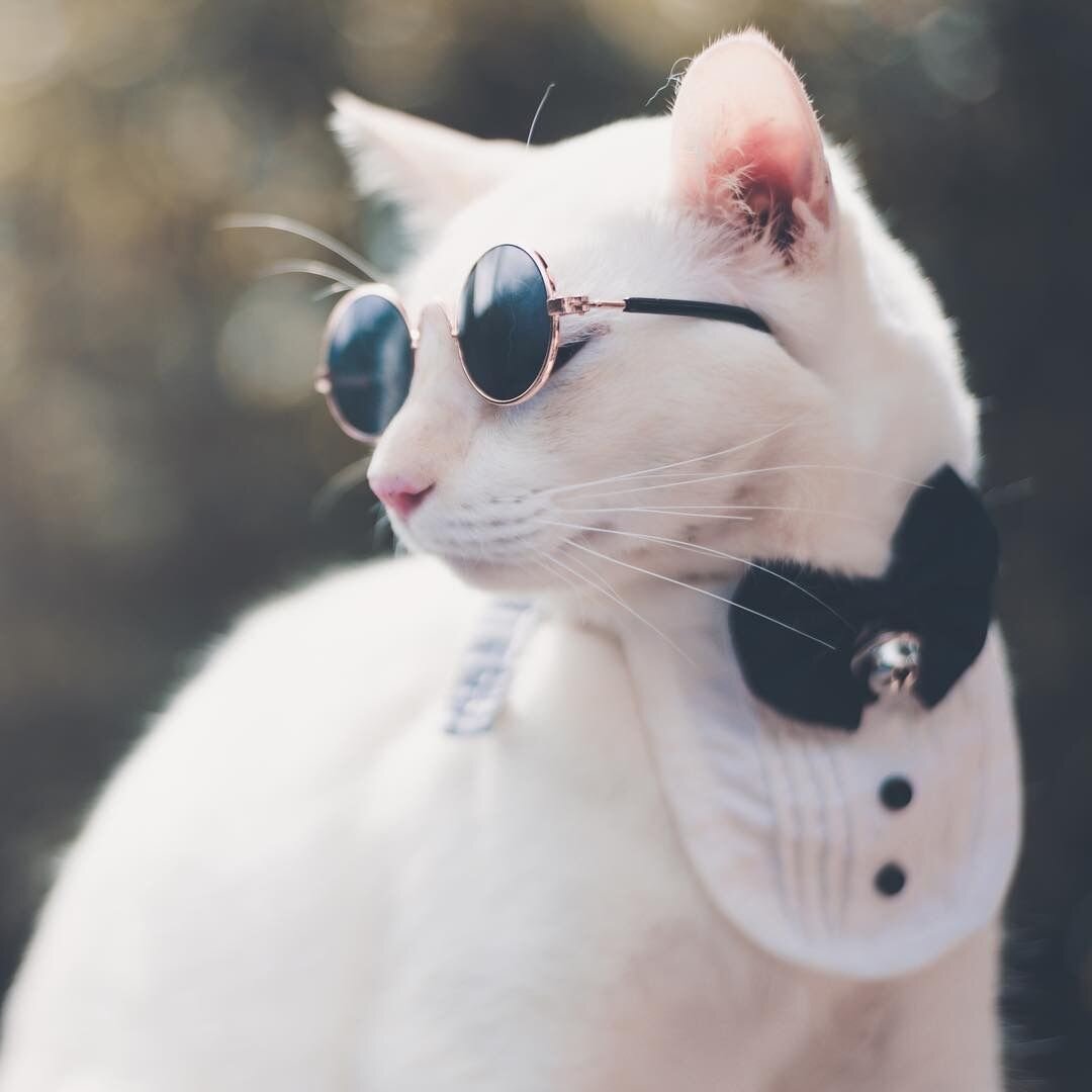 источник фото: https://i.pinimg.com/originals/8e/26/81/8e26812ff2b3712466440137b9d0fb74.jpg