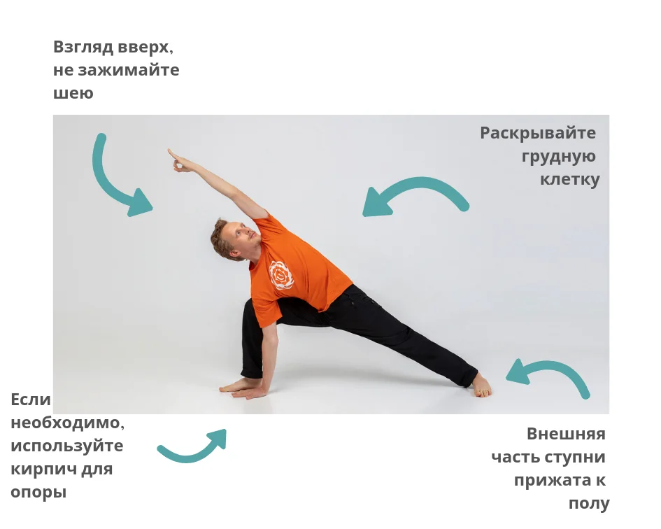 Взято из общего доступа.