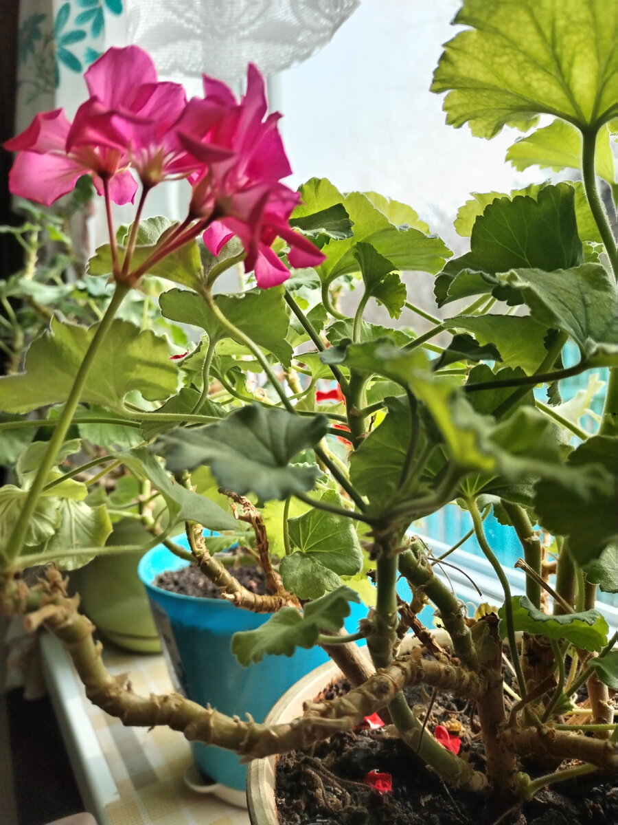 Фото взято из личных.