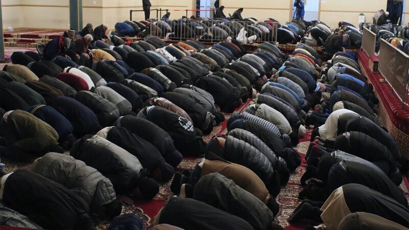 Фото с сайта: https://cdn.fishki.net