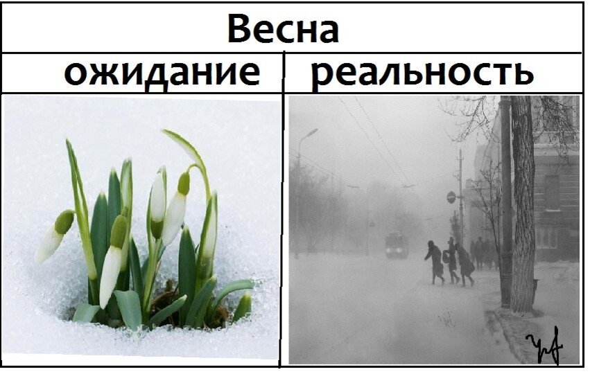 Весны не будет картинки прикольные