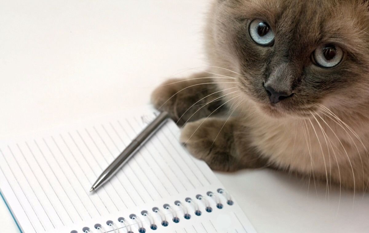 Картинка из Интернета