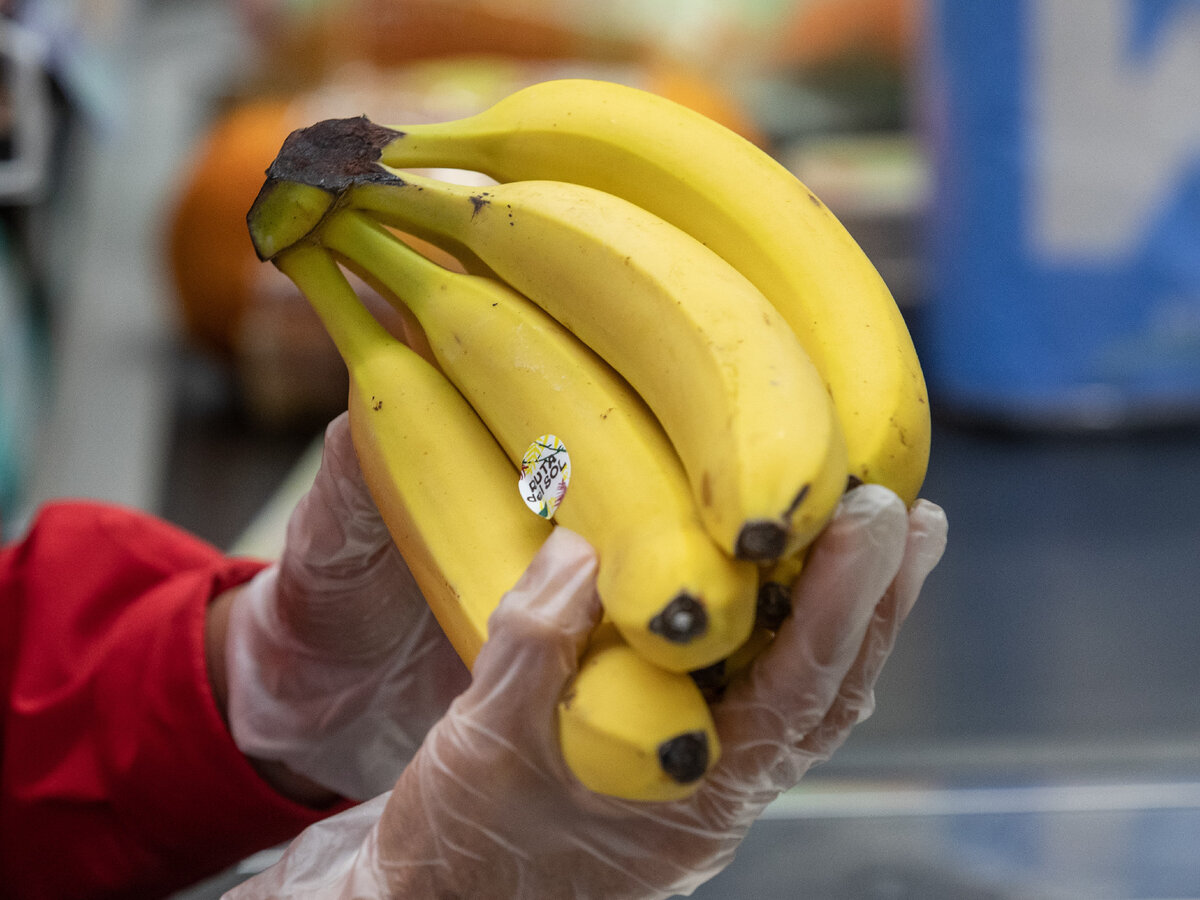 The Rise of Bananas in Russia: Как бананы стали основным фруктом в ...
