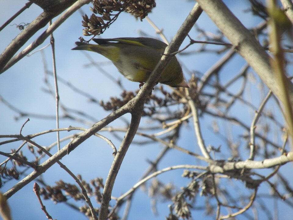     Фото Елены Федяшевой  из архива «КП»