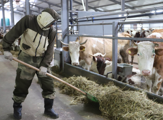    В Оренбуржье в период зимовки скота увеличилось производство продукции Кристина Просвиркина