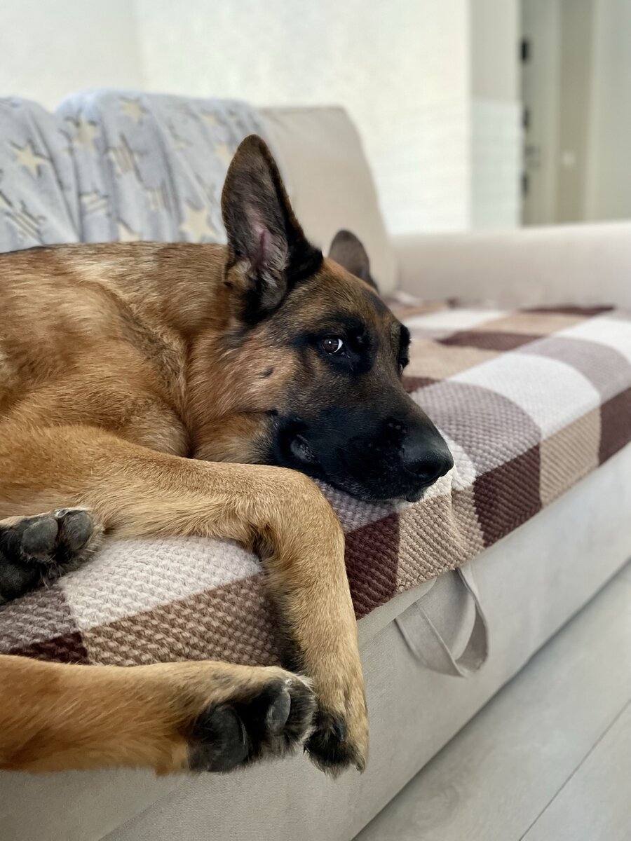 Когда узнал, что ты грязная псина и место тебе в будке на цепи 