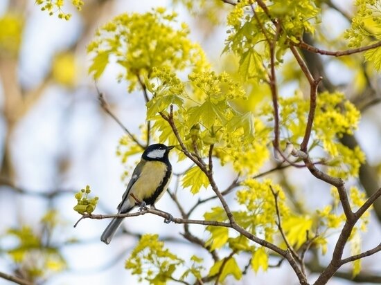     Фото: wirestock на Freepik