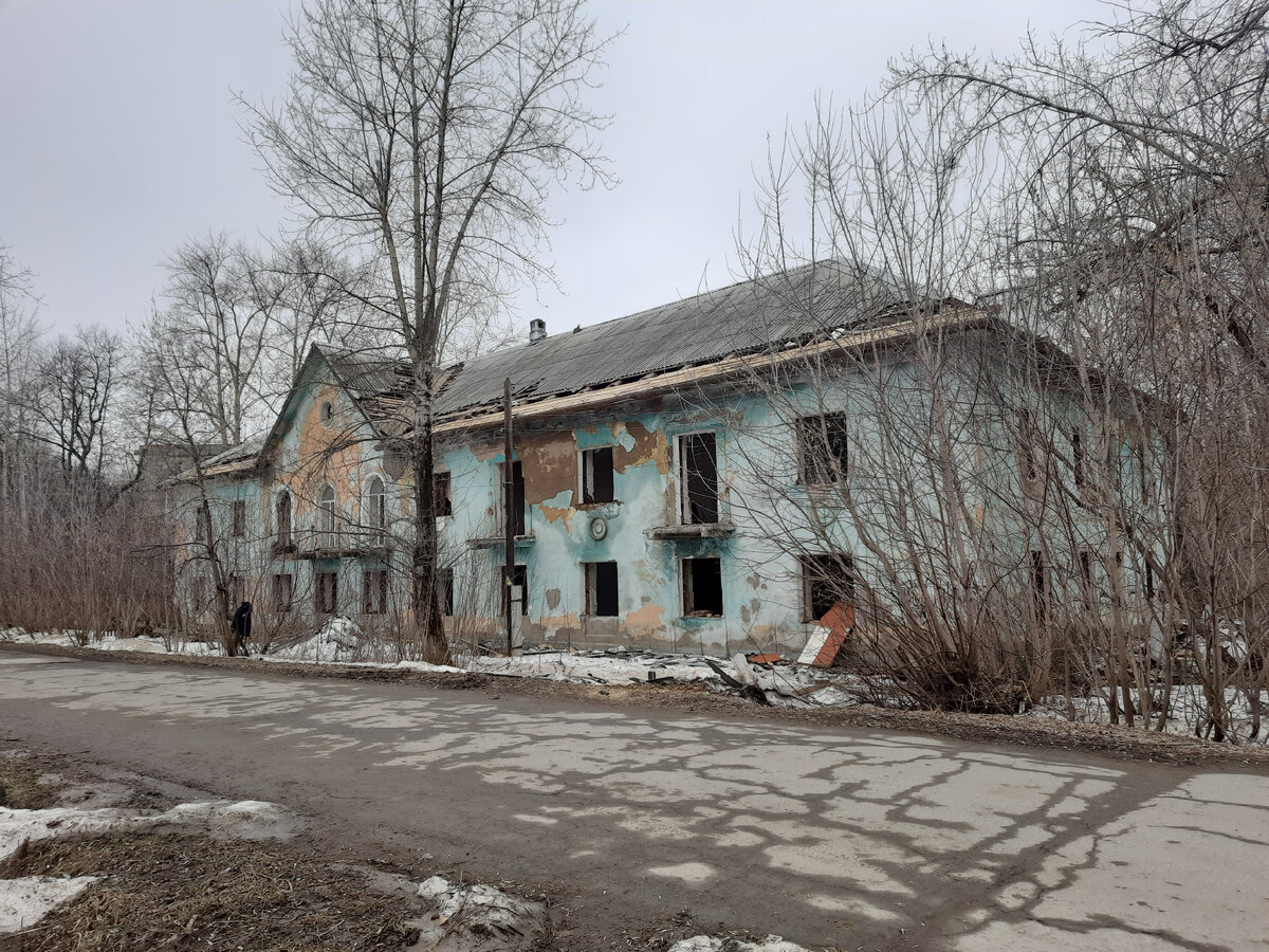 Когда деревья были большими... Возвращение в детство, в поселок Кислотные  дачи | Пенсионерам не сидится | Дзен