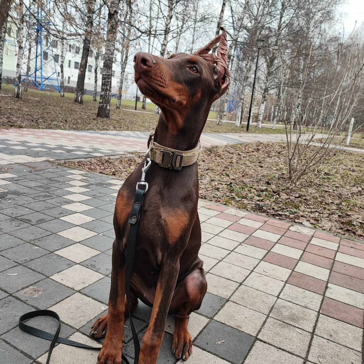 КрасивАрька))