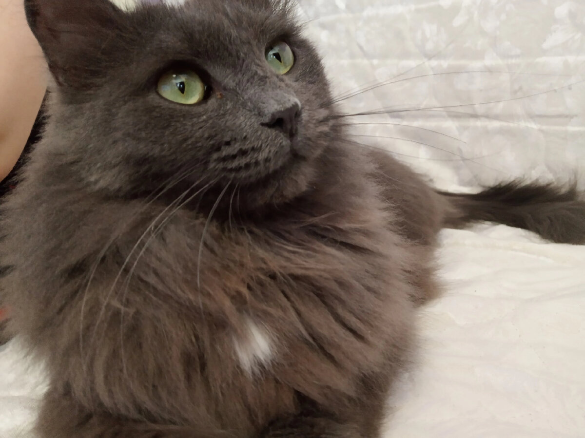 Вот таким красавчик ом он стал ♥️ 