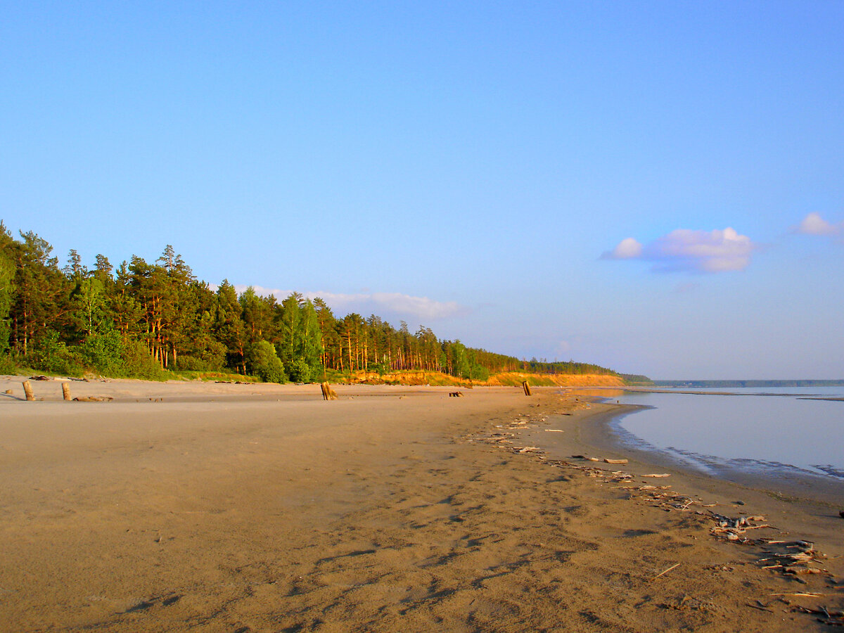 Отдых в новосибирске на обском море