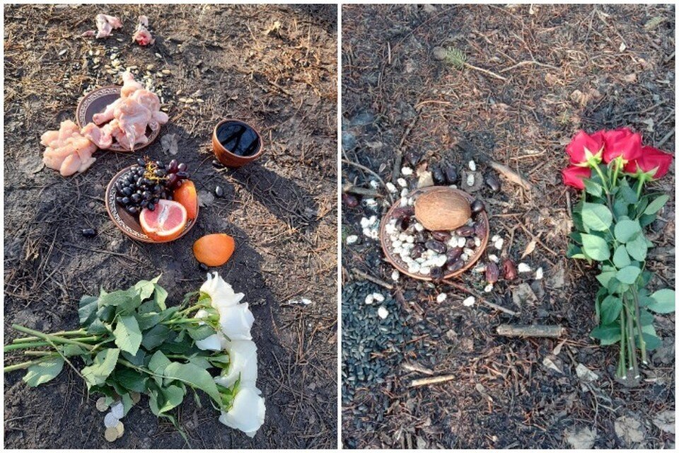     Подарки для древних духов весьма дорогостоящие и жуткие Фото: предоставлено Алексеем Скажутиным