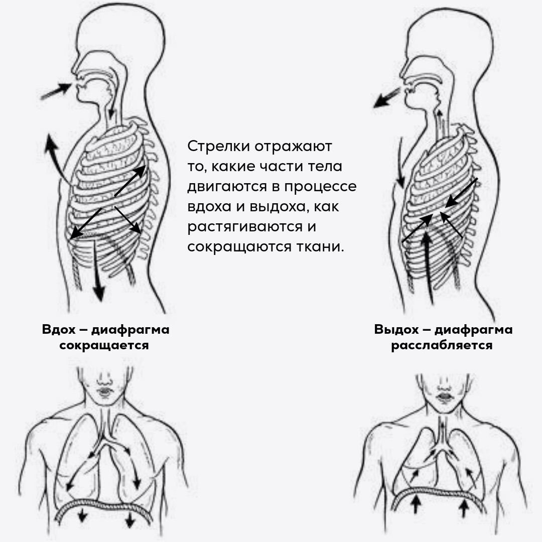 из за чего болит поясница после оргазма фото 29