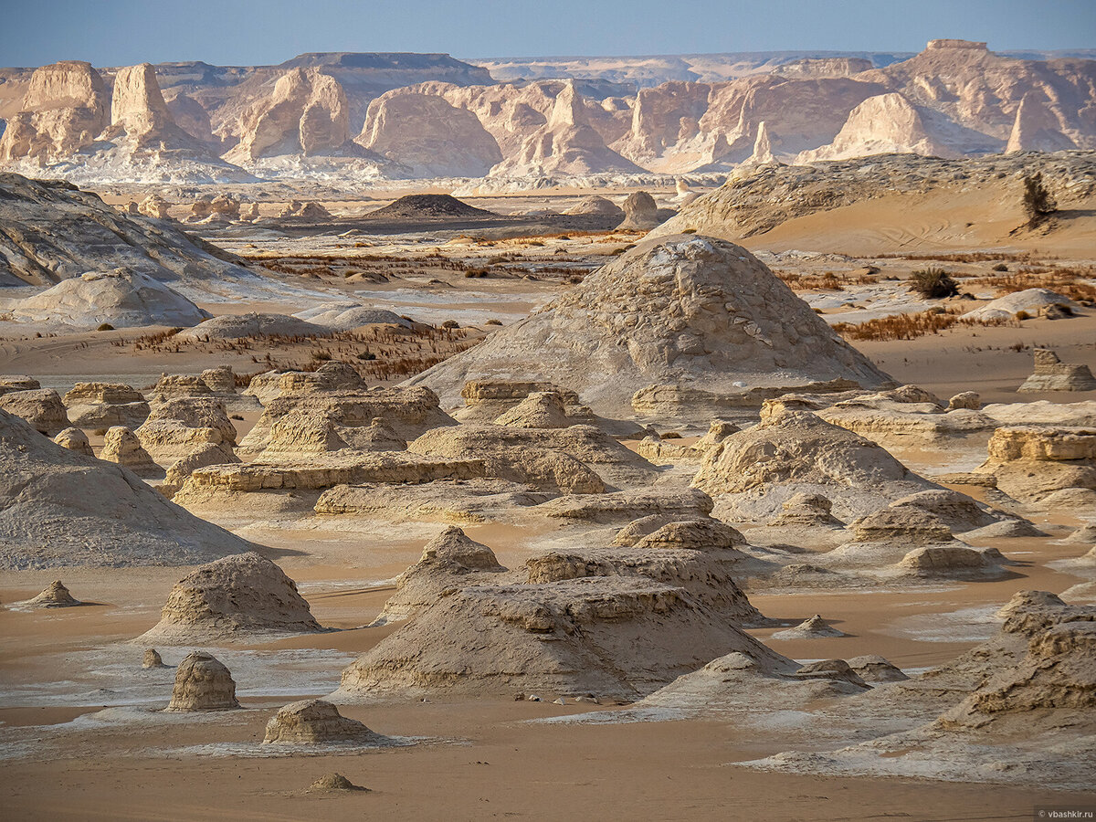 © Виктор Башкир