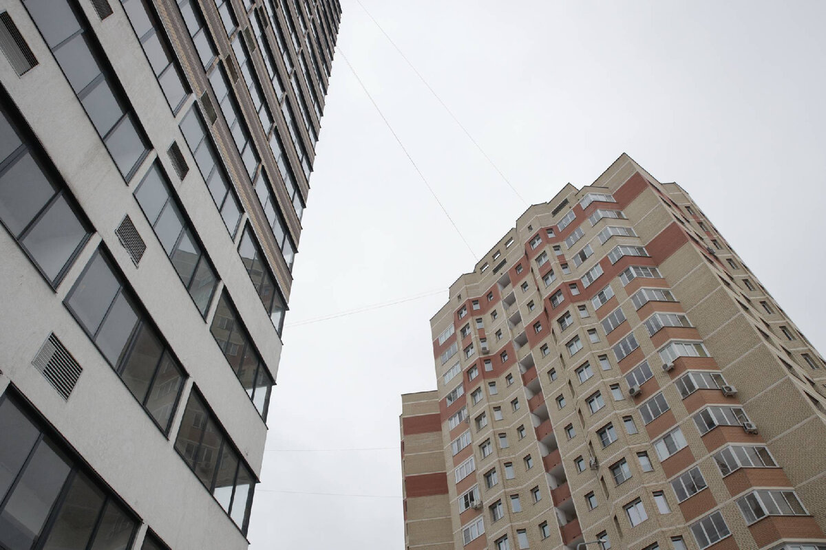   Фото: Антон Чернов