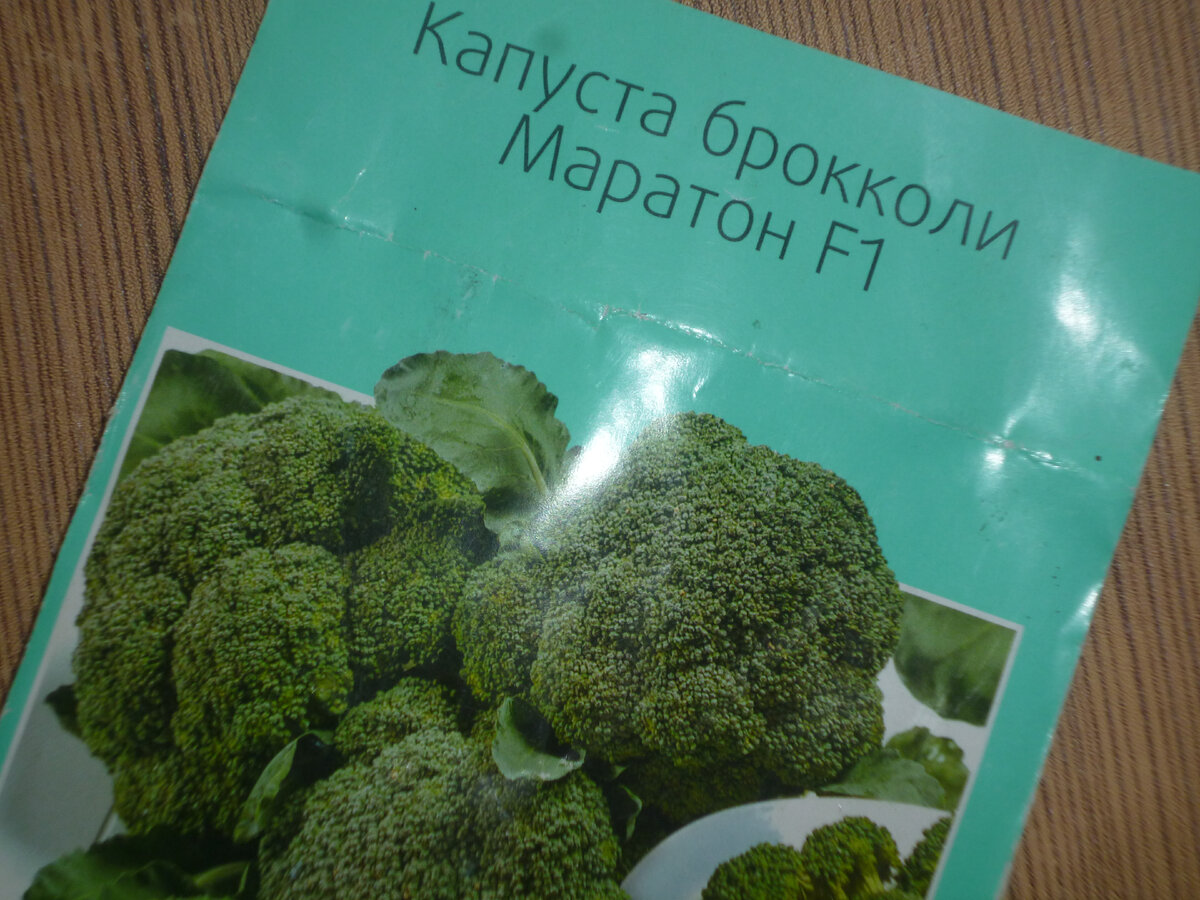 Про капусту - всяку-разну! Расскажу про любимые сорта, похвастаюсь  новинками и совета попрошу. | С собаками всегда. | Дзен