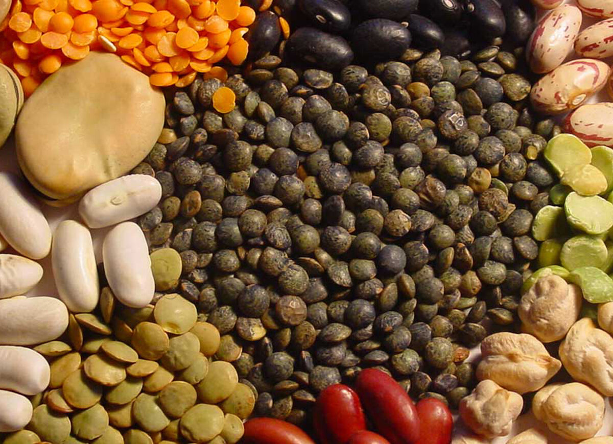 Плод фасоли. Боб фасоли. Фасоль бобовая. Боб орех. Бобовые продукты.